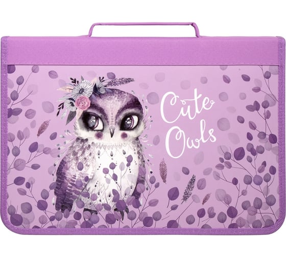 Папка для труда BRAUBERG Cute Owls А4, с ручкой, 1 отделение, органайзер, молния вокруг 270343 1