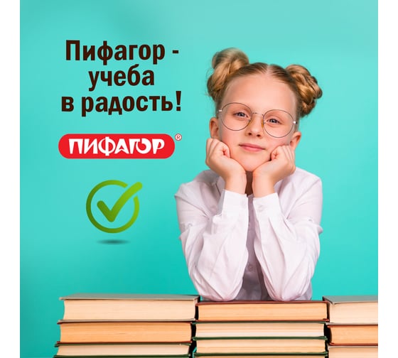 Обложки для учебника Петерсон, Моро, Гейдмана ПИФАГОР ПВХ, комплект 5 шт, универсальные 224846