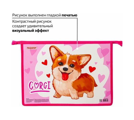 Папка для тетрадей ПИФАГОР KORGI А4, 1 отделение, картон, молния сверху 229102
