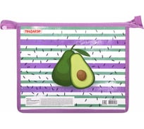 Папка для тетрадей ПИФАГОР Avocado А5, 1 отделение, пластик, молния сверху 270132