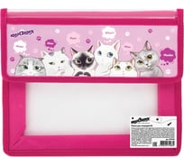 Папка для тетрадей ЮНЛАНДИЯ Cats А5, 2 отделения, пластик, клапан на липучке 270140