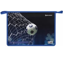 Папка для труда BRAUBERG Goal А4, 2 отделения, молния сверху, органайзер 270154