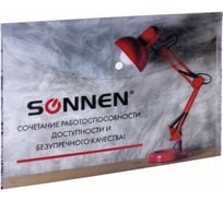 Папка-конверт SONNEN с кнопкой, 12 шт в упаковке, А4, 160 мкм, до 100 листов, цветная печать 228059