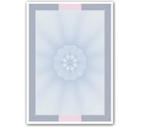 Бумага для сертификатов, дипломов грамот GRM SET-08 А4, верже 100г, упаковка 10 листов 068420089