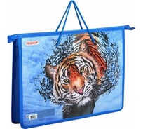 Папка на молнии Пифагор Wild cat с ручками, А4, 1 отделение, пластик, ручки-шнурок 270864