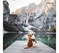 Настенный перекидной календарь Staff DOGS на 2023 г, 12 листов, 29x29 см 114278