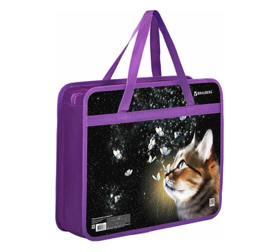 Папка на молнии с ручками BRAUBERG А4, 1 отделение, пластик, 80 мм, Dream cat 270868 1