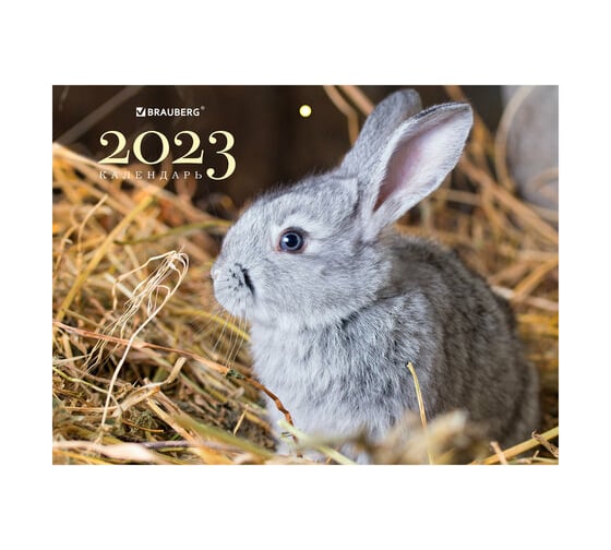 Квартальный календарь BRAUBERG на 2023г, 3 блока, 3 гребня, с бегунком, офсет, FUNNY BUNNY 114223