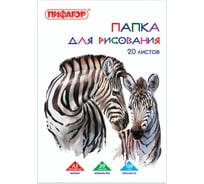 Папка для рисования ПИФАГОР Зебры большого формата А3, 20 листов, 120 г/м2, 297х420 мм 129218