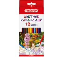 Цветные карандаши ПИФАГОР БАБОЧКИ 12 цветов, классические заточенные 181351