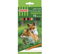Цветные карандаши ПИФАГОР ЛЕСНЫЕ ЖИТЕЛИ 12 цветов, пластиковые, классические заточенные 181334