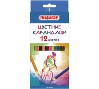 Цветные карандаши ПИФАГОР БЫСТРЕЕ! ВЫШЕ! СИЛЬНЕЕ! 12 цветов, классические заточенные 181356
