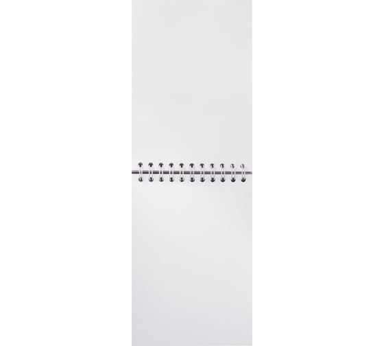 Скетчбук BRAUBERG ART DEBUT белая бумага, 100г/м2, 105х148 мм, 60 л, гребень, жёсткая подложка 110997
