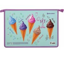 Папка для труда BRAUBERG Ice cream А4, 2 отделения, молния сверху, органайзер 270153