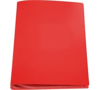 Папка с 10 вкладышами DOLCE COSTO Стандарт A4, красная D00410-RD