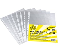 Файл-вкладыш c перфорацией DOLCE COSTO А4, Стандарт, без тиснения D00111