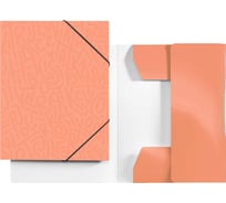 Папка LAMARK на резинке Delight Time, картон, 240х310х27 мм, цвет мускатная дыня упаковка 50 шт TF0110-CN