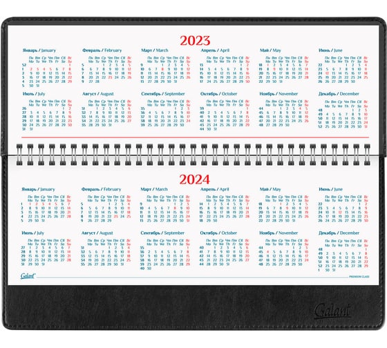 Планинг Galant "Ritter" датированный, 2023 год, 305x140 мм, под кожу, черный 114002