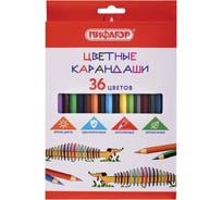 Карандаши цветные Пифагор Веселая такса 36 цветов, классические, заточенные 181809