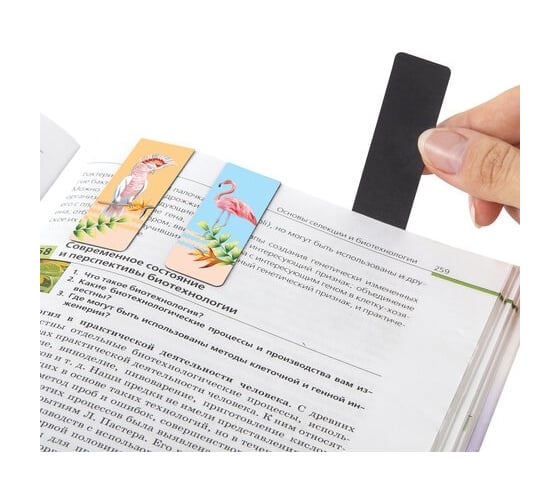 Магнитные закладки для книг BRAUBERG MIX набор 30 шт, 60x20 мм 113175