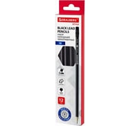 Профессиональные чернографитные карандаши BRAUBERG ART PREMIERE 8H-8B набор 18 штук 181893