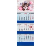 Квартальный календарь BRAUBERG на 2023 г, 3 блока, 3 гребня, с бегунком, мелованная бумага 114256