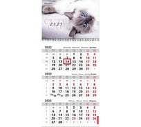 Квартальный календарь CUTE BRAUBERG на 2023 г, 3 блока, 1 гребень, с бегунком, мелованная бумага 114268