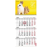Квартальный календарь BRAUBERG CUTE на 2023 г, 3 блока, 1 гребень, с бегунком, мелованная бумага 114267