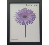 Деревянная рамка ООО Изометрика Galina 40x50 см черная 0117-16-0018