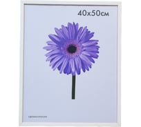 Деревянная рамка ООО Изометрика Galina 40x50 см белая 0117-16-0001