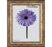 Пластиковая рамка ООО Изометрика Adele 30x40 см золото 0078-15-1228
