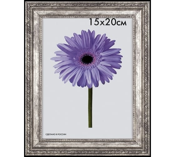Пластиковая рамка ООО Изометрика Adele 15x20 см серебро 0078-6-1965 1