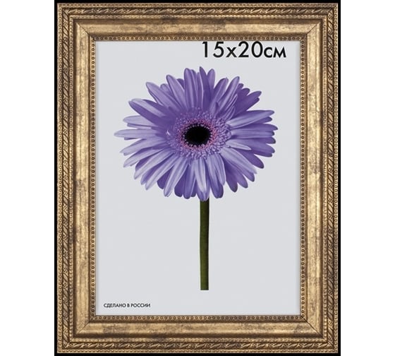 Пластиковая рамка ООО Изометрика Adele 15x20 см золото 0078-6-1228 1