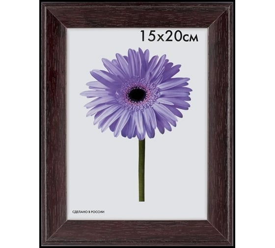 Пластиковая рамка ООО Изометрика Aida 21x30 см венге 0041-8-1206 1