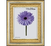 Пластиковая рамка ООО Изометрика Charlotta 60x80 см золото 0024-60-1487