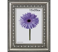 Пластиковая рамка ООО Изометрика Charlotta 60x80 см серебро 0024-60-0510