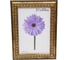 Пластиковая рамка ООО Изометрика Charlotta 21x30 см антик 0024-8-0508 1