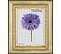 Пластиковая рамка ООО Изометрика Charlotta 21x30 см золото 0024-8-1487 1