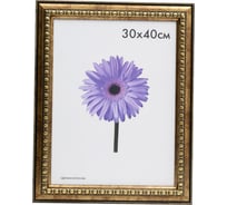 Пластиковая рамка ООО Изометрика Charlotta 30x40 см антик 0024-15-0508 22866369