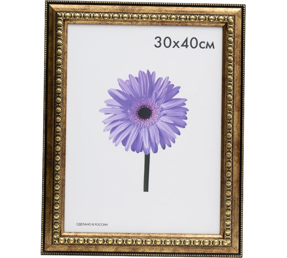 Пластиковая рамка ООО Изометрика Charlotta 30x40 см антик 0024-15-0508