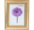 Пластиковая рамка ООО Изометрика Charlotta 15x20 см золото 0024-6-1487 1