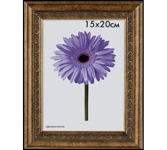 Пластиковая рамка ООО Изометрика Daria 21x30 см старое золото 0058-8-1139 1