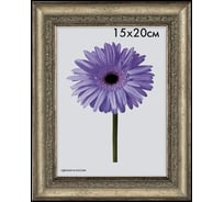 Пластиковая рамка ООО Изометрика Daria 10x15 см старое серебро 0058-4-3030