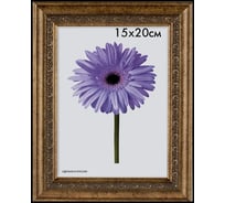 Пластиковая рамка ООО Изометрика Daria 70x100 см старое золото 0058-70-1139