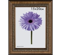 Пластиковая рамка ООО Изометрика Daria 70x100 см светло-коричневый 0058-70-3052