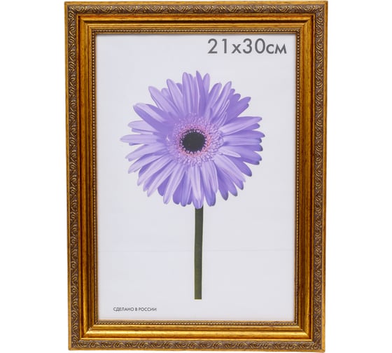 Пластиковая рамка ООО Изометрика Dorothy 21x30 см золотая 0023-8-4274 1