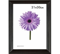 Деревянная рамка ООО Изометрика Liza 40x50 см черная 0004-16-0018 22865151