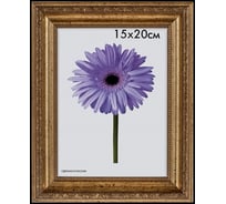 Пластиковая рамка ООО Изометрика Dorothy 40x50 см золотая 0023-16-4274