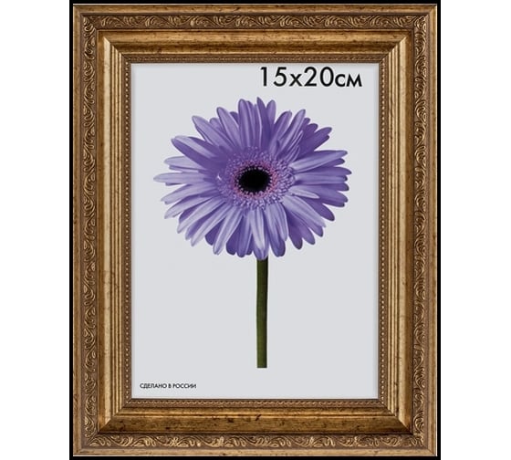Пластиковая рамка ООО Изометрика Dorothy 30x40 см золотая 0023-15-4274 1