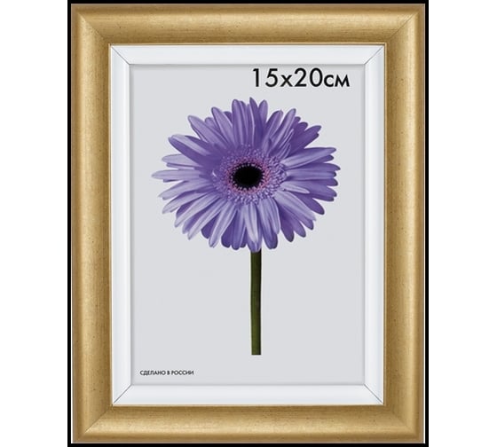 Пластиковая рамка ООО Изометрика Gella 21x30 см золото 0079-8-0547 1